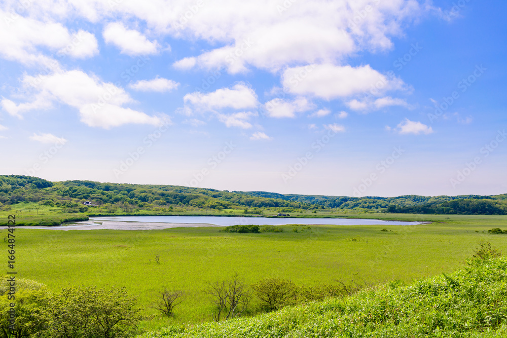 Obraz premium A brackish lagoon called Poroto-numa located within the Poroto Marsh in Hamanaka, Hokkaido, Japan. The lagoon is surrounded by wetlands and aquatic plants, creating a serene natural landscape under a 