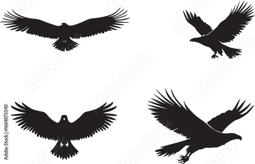 Flying Bird Silhouette Vector Set

Black Bird Silhouettes in Flight Collection

Crow and Raven Flying Silhouette Clipart