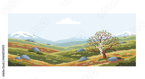 Vast rolling hills and rugged terrain featuring a solitary tree amidst scattered rocks capturing natural landscape scenery in a colorful
