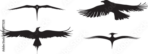Flying Bird Silhouette Vector Set

Black Bird Silhouettes in Flight Collection

Crow and Raven Flying Silhouette Clipart