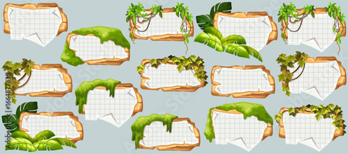 Wooden signboards with old paper, stems ivy, liana, grapes, vine, swamp moss, forest lichen. Set isolated wooden elements with blank, with ragged square graph paper, school math sheet. 