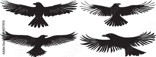 Flying Bird Silhouette Vector Set

Black Bird Silhouettes in Flight Collection

Crow and Raven Flying Silhouette Clipart