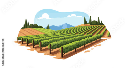 Vast agricultural vineyard landscape with lush green rows under a bright sky filled with fluffy clouds and distant mountains in a serene rural setting