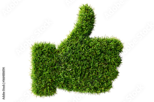 Green Thumbs Up Symbol Made of Grass, isolated on a transparent background.