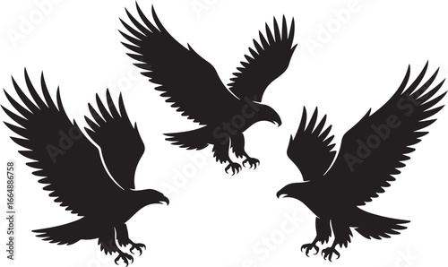 Set of Flying Bird Silhouettes Vector

Black Birds in Flight Silhouette Illustration

Crow and Raven Silhouette Design Collection
