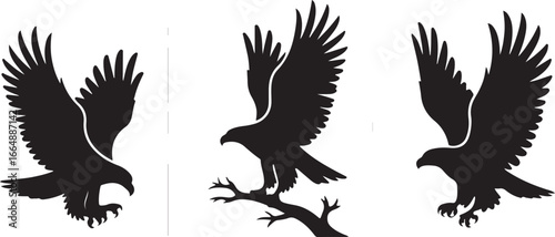 Set of Flying Bird Silhouettes Vector

Black Birds in Flight Silhouette Illustration

Crow and Raven Silhouette Design Collection