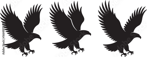 Set of Flying Bird Silhouettes Vector

Black Birds in Flight Silhouette Illustration

Crow and Raven Silhouette Design Collection