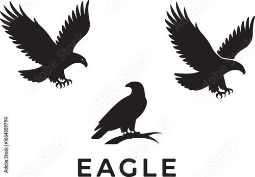 Set of Flying Bird Silhouettes Vector

Black Birds in Flight Silhouette Illustration

Crow and Raven Silhouette Design Collection