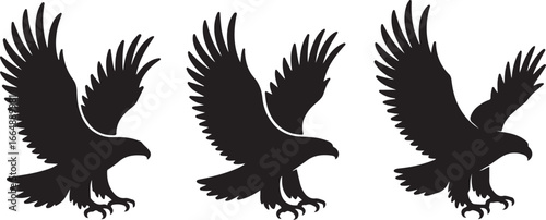 Set of Flying Bird Silhouettes Vector

Black Birds in Flight Silhouette Illustration

Crow and Raven Silhouette Design Collection
