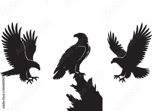 Set of Flying Bird Silhouettes Vector

Black Birds in Flight Silhouette Illustration

Crow and Raven Silhouette Design Collection