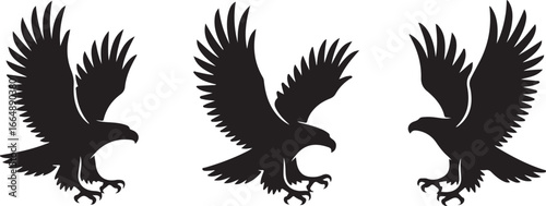 Set of Flying Bird Silhouettes Vector

Black Birds in Flight Silhouette Illustration

Crow and Raven Silhouette Design Collection