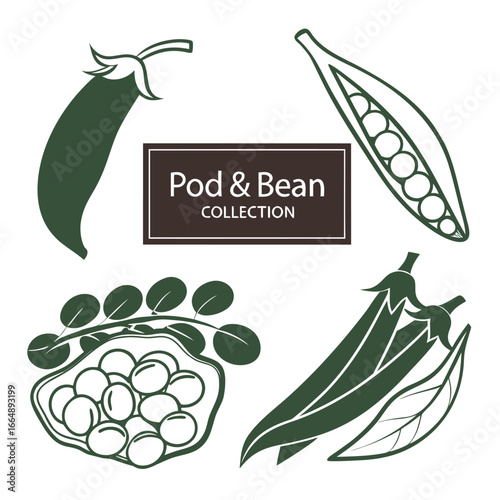 Green bean pods and peas collection beans