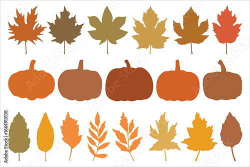 Autumn Leaves and Pumpkins Vector Set