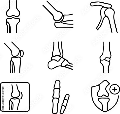 Bone and Joint Outline Icons Knee Elbow Shoulder Ankle and Finger Joints.