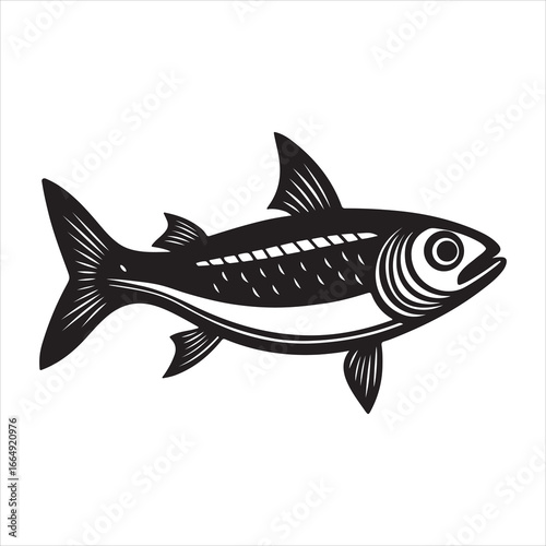 A Close-up of Fresh Anchovies, a Small and Oily Fish Valued as a Pungent, Salty Culinary Ingredient and a Healthy, Sustainable Seafood