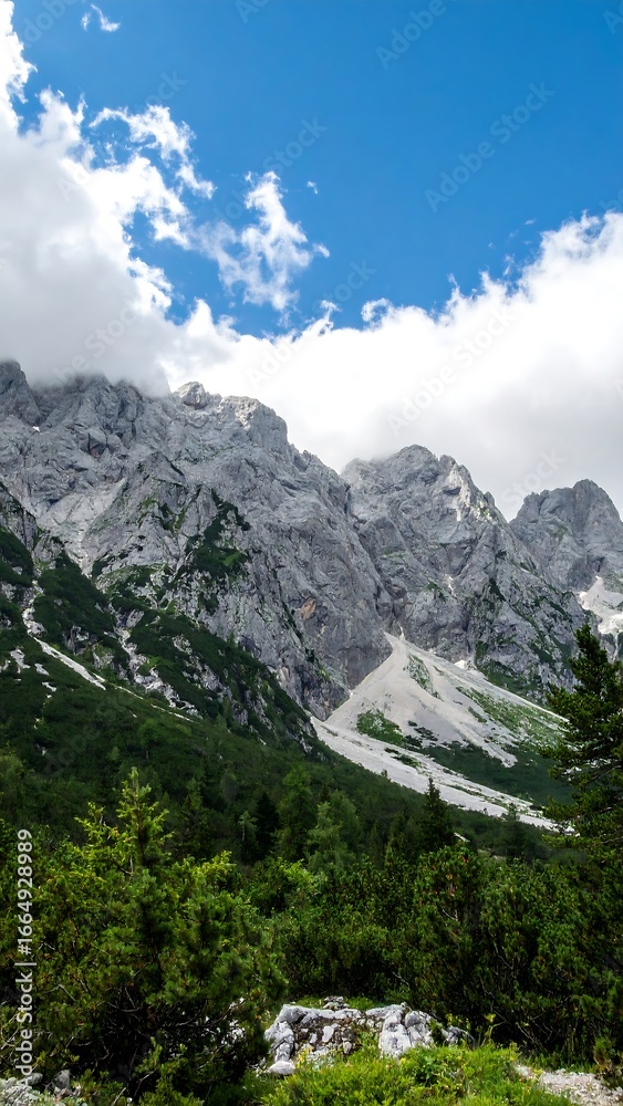 Obraz premium Mountain landscape, lush forest, dramatic clouds