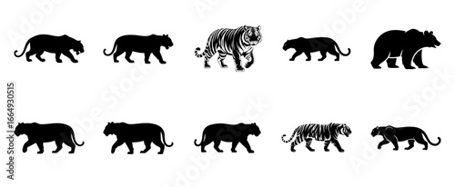 Tiger silhouettes and detailed illustration animal
