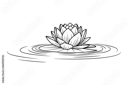 Black and white line drawing of a lotus flower floating on rippling water lily plant