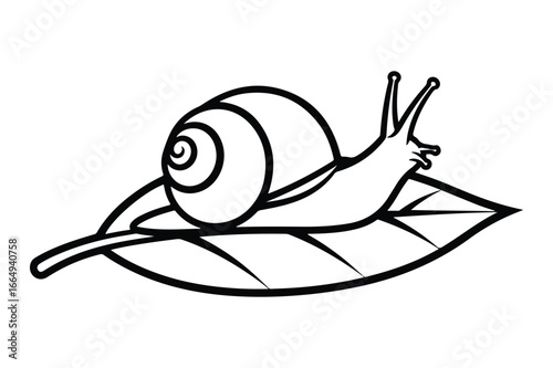 Black and white line drawing of a snail on a leaf gastropod mollusk