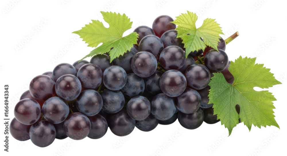 Obraz premium Dark purple grapes with green leaves isolated on background fruit food