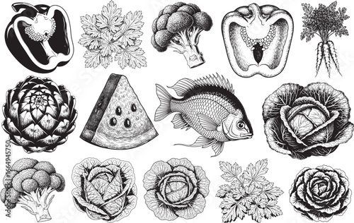 Engraved illustrations showcase variety of fresh vegetables and fruits highlighting the beauty of raw food diet concepts 