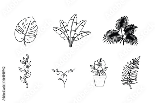 Collection of tropical plant line art illustrations on white background monstera leaf banana leaves