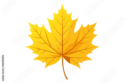 Yellow maple leaf, symbol of autumn season