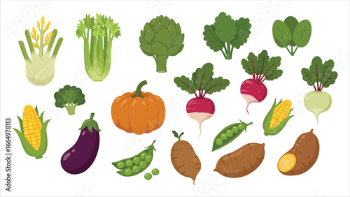 Assorted Organic Garden Vegetables, Freshly Picked and Ready for Healthy Cooking