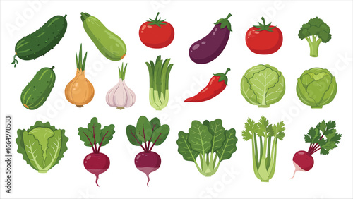 Collection of fresh, healthy, and delicious vegetables for your culinary creations