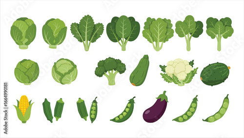 Assortment of vibrant, fresh garden vegetables, a healthy collection for nutritious eating and cooking