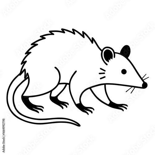 A minimalist drawing of a possum in black and white, offering a fresh and clean aesthetic that suits various design contexts. vector illustration