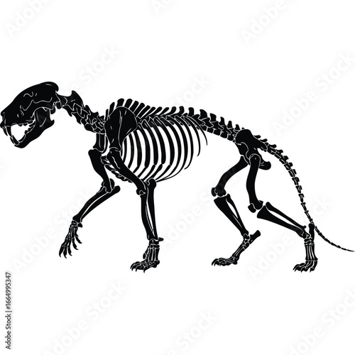 Black Silhouette Animal Skeleton Walking bones anatomy biology zoology paleontology fossil extinct black and white vector graphic illustration