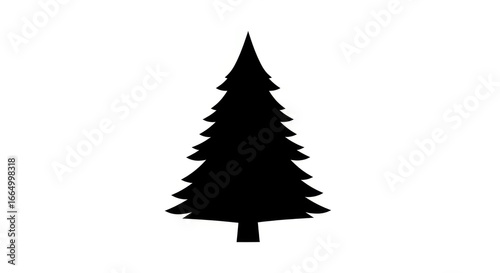 Silhouette of a Pine Tree on White Background in Minimalist Style