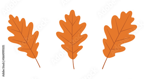 Three orange oak leaves on a white background