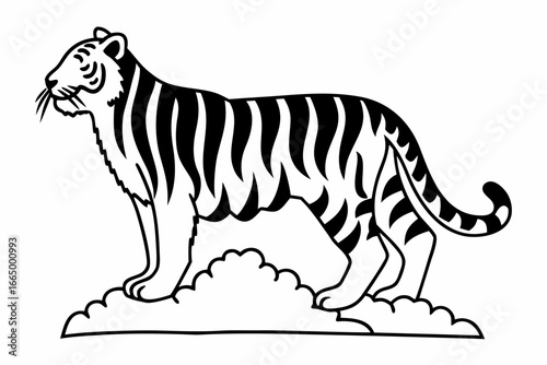 vector illustration of a siberian tiger