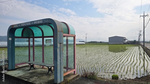 bus stop in a countryside