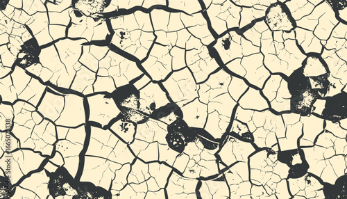 Cracked Earth Surface