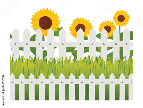 A beautiful white picket fence with a field of bright sunflowers under a clear, sunny sky