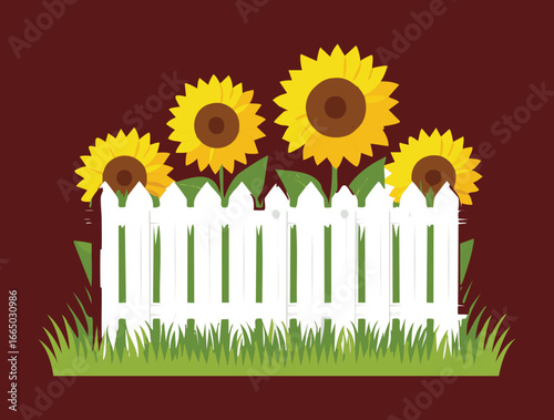  A charming white picket fence with a beautiful row of large, bright yellow sunflowers on a sunny day