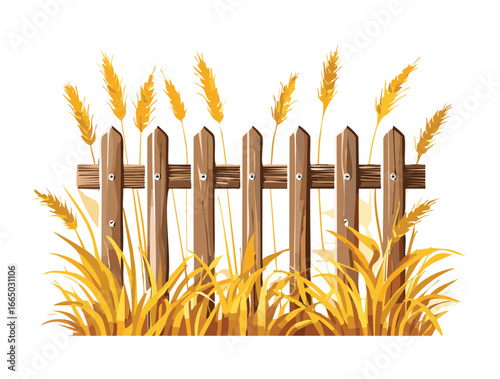 A classic wooden fence on a tranquil meadow with a row of golden wheat spikes, ready for harvest