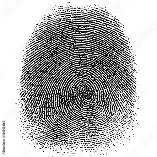 Black fingerprint identification security scan forensic science unique pattern individual identity ten print is here