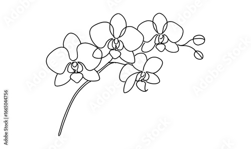 Simple continuous line drawing of orchid flower for minimalist designs