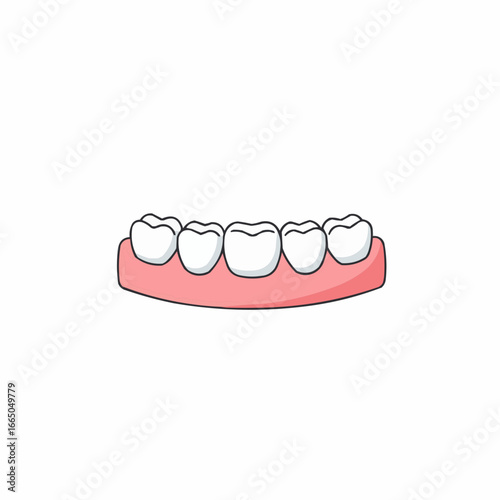 Dental bridge illustration with teeth on pink base,  isolated on white background 