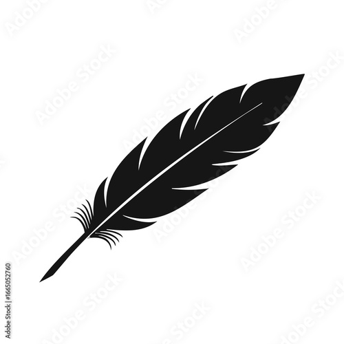 Black quill feather isolated on white background writing