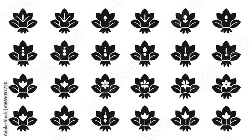 Floral motifs with decorative elements and variations pattern black
