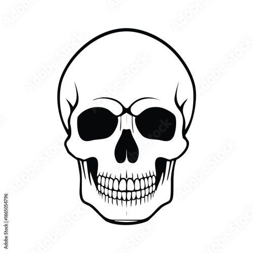 Human skull frontal view black outline bone anatomy