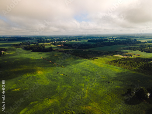 landscape with green grass and clouds