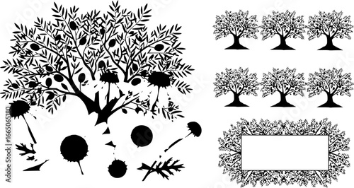 set of Daisy in a vector style isolated. Full name of the plant: daisy, chamomile. Vector olive tree for background, texture, wrapper pattern, frame or border