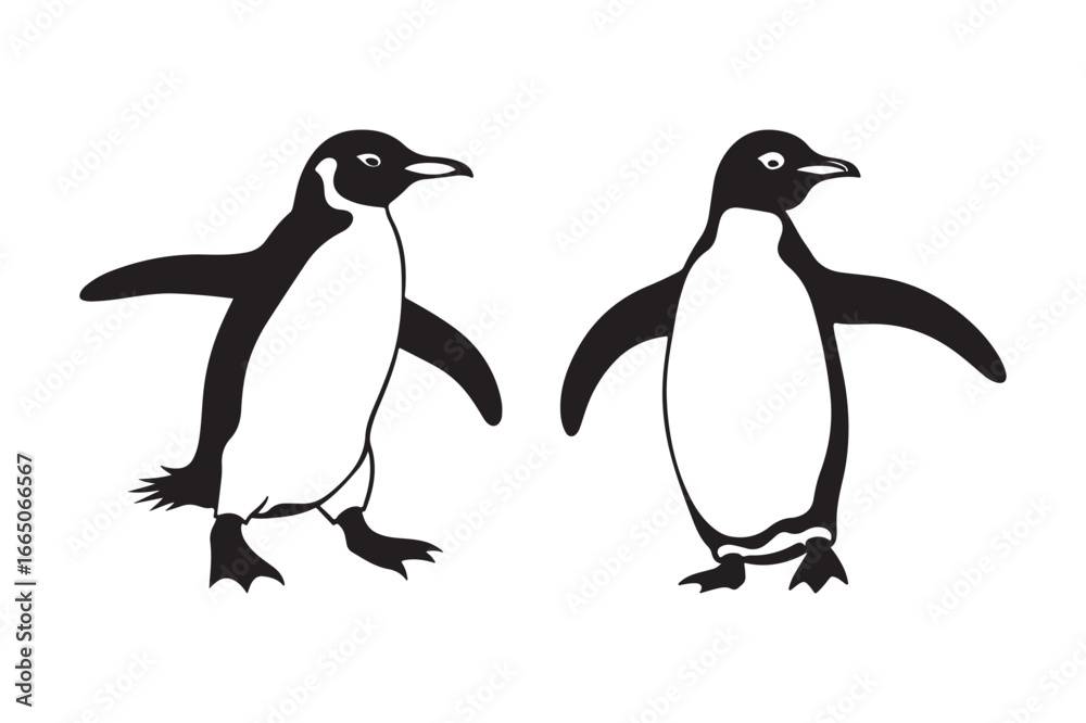 Obraz premium Two black and white penguins standing side by side