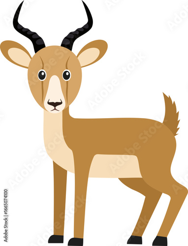 Cute antelope isolated on white background